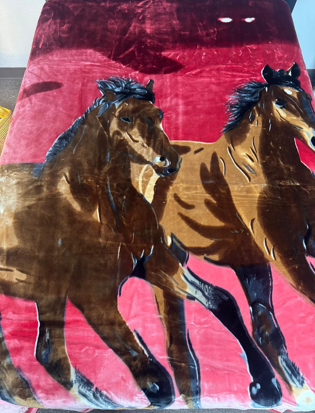 PHOTO-2025-01-22-16-59-